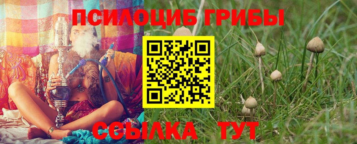 Галлюциногенные грибы ЛСД Арзамас